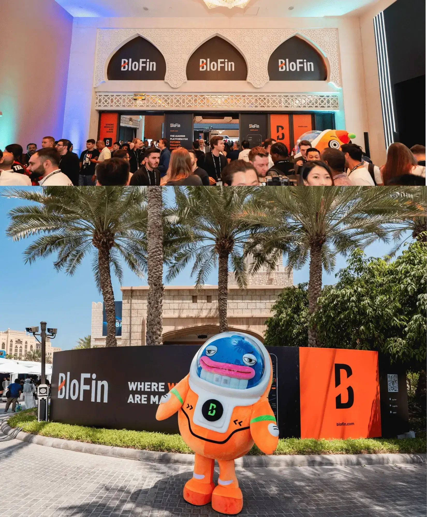 BloFin