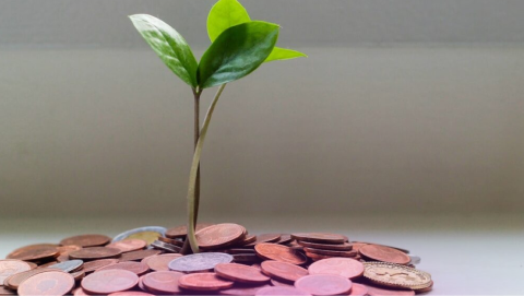 Crypto PR Manager 